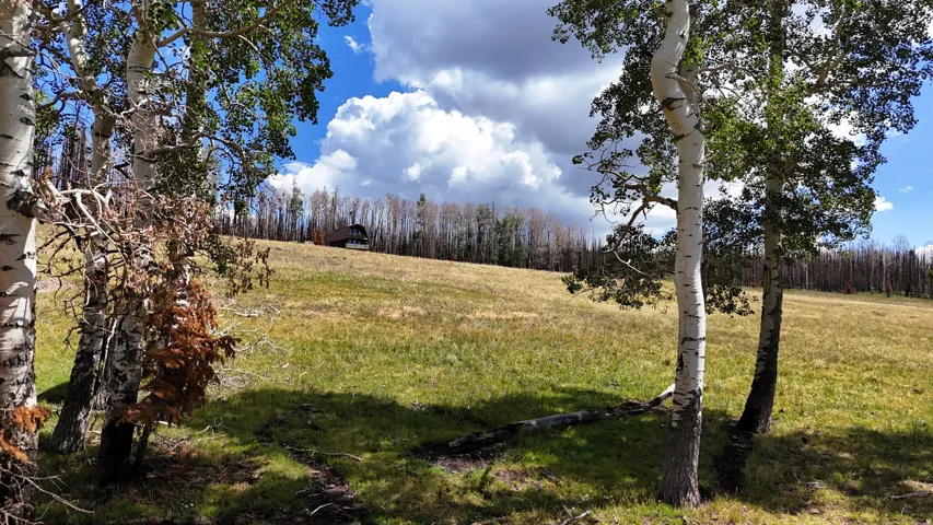 Expansive hillside property featuring a distant residence and mature aspen trees