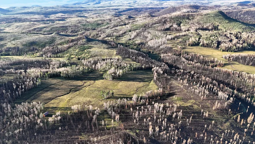Expansive acreage featuring rolling hills, varied tree cover, a clear-cut section, open grassy areas, and a distant mountain range