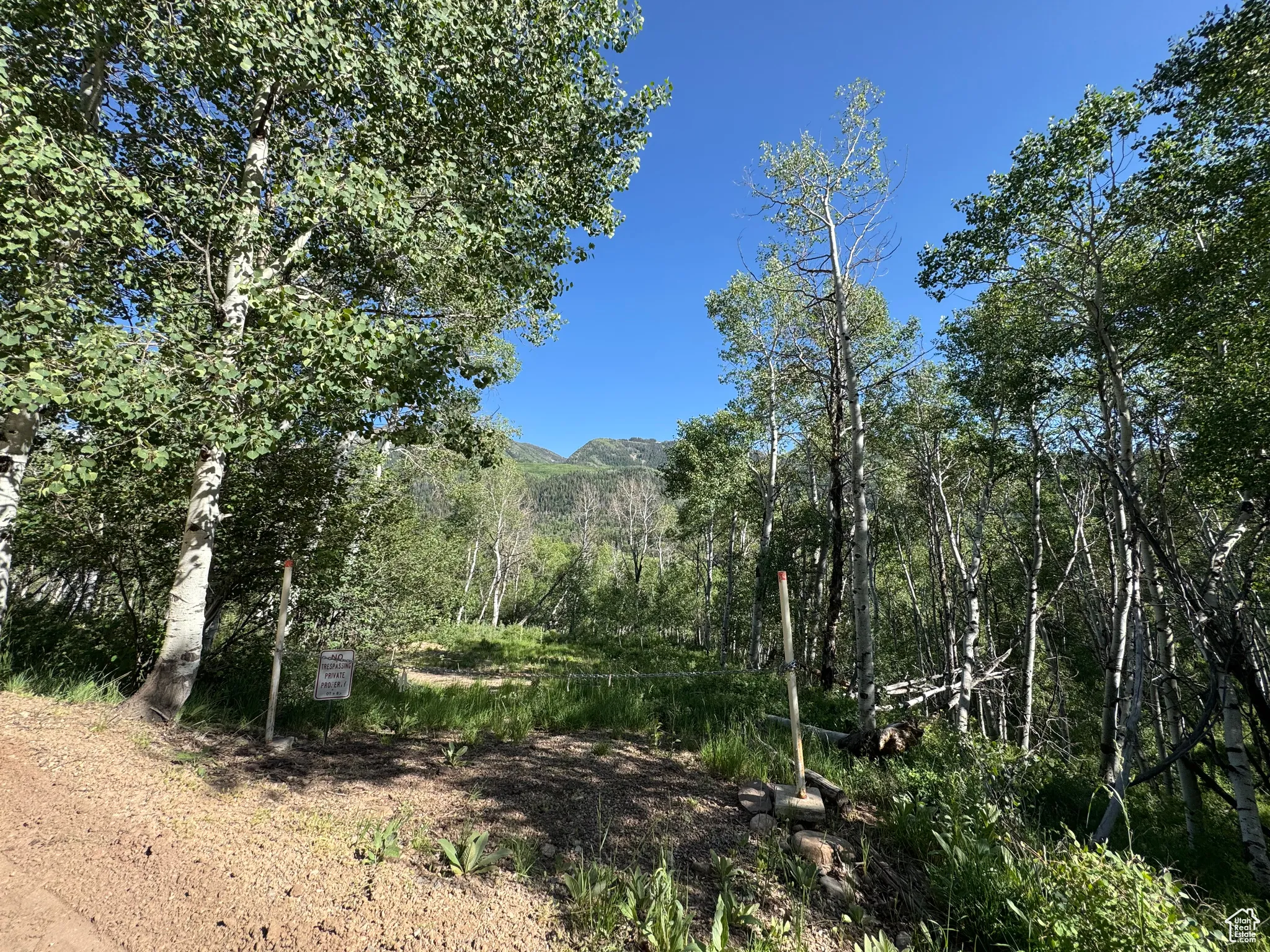 View of undeveloped land featuring a mountainous background