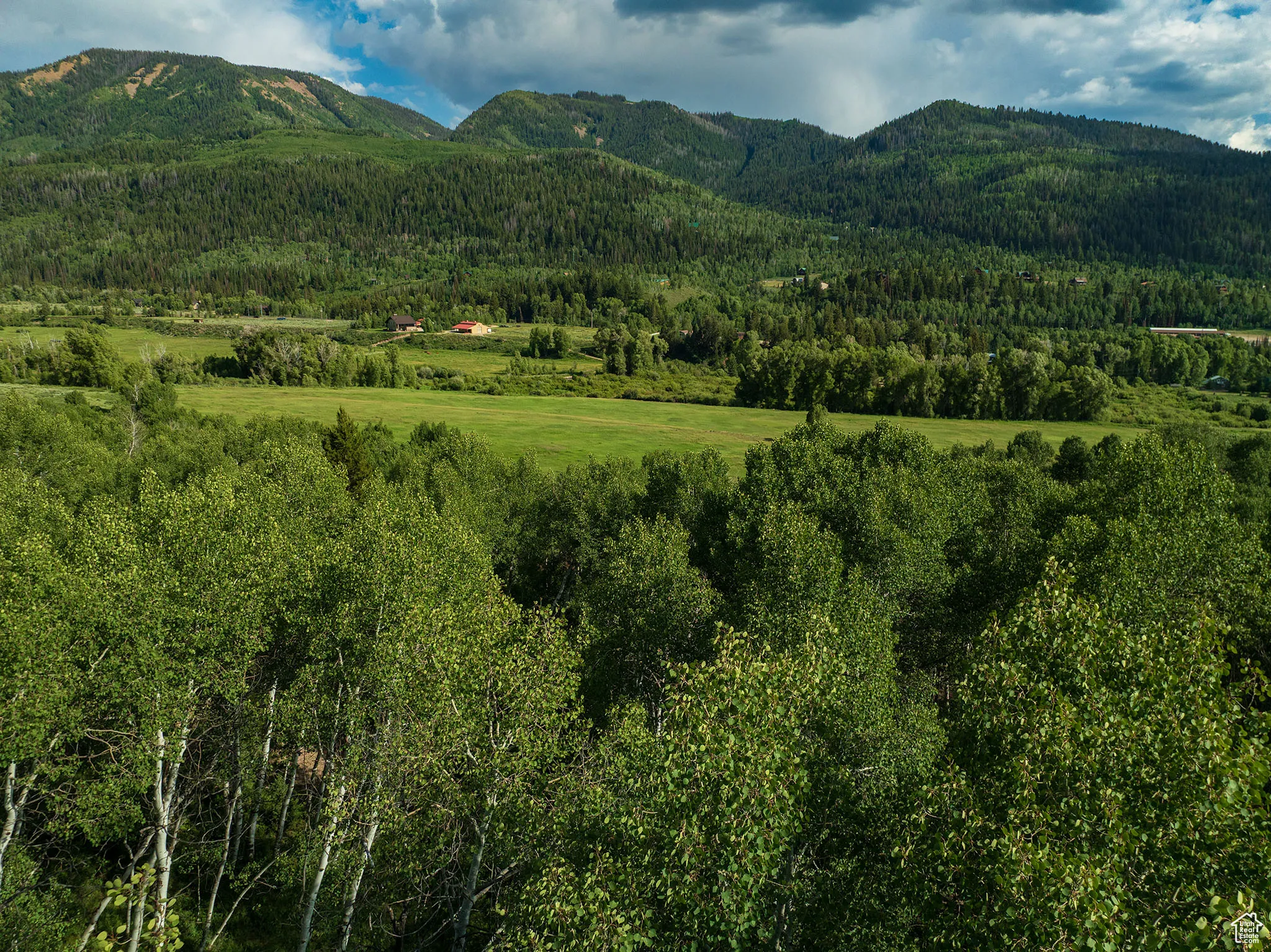 Mountain view with a forest