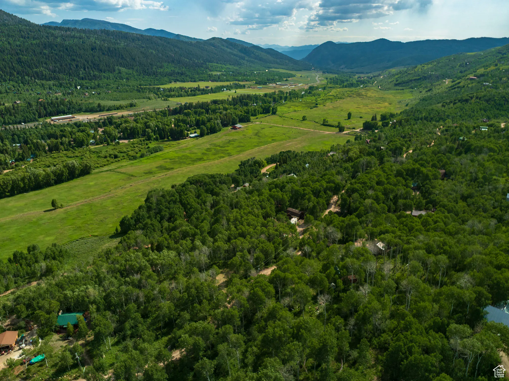 Bird's eye view of a mountainous background and a forest