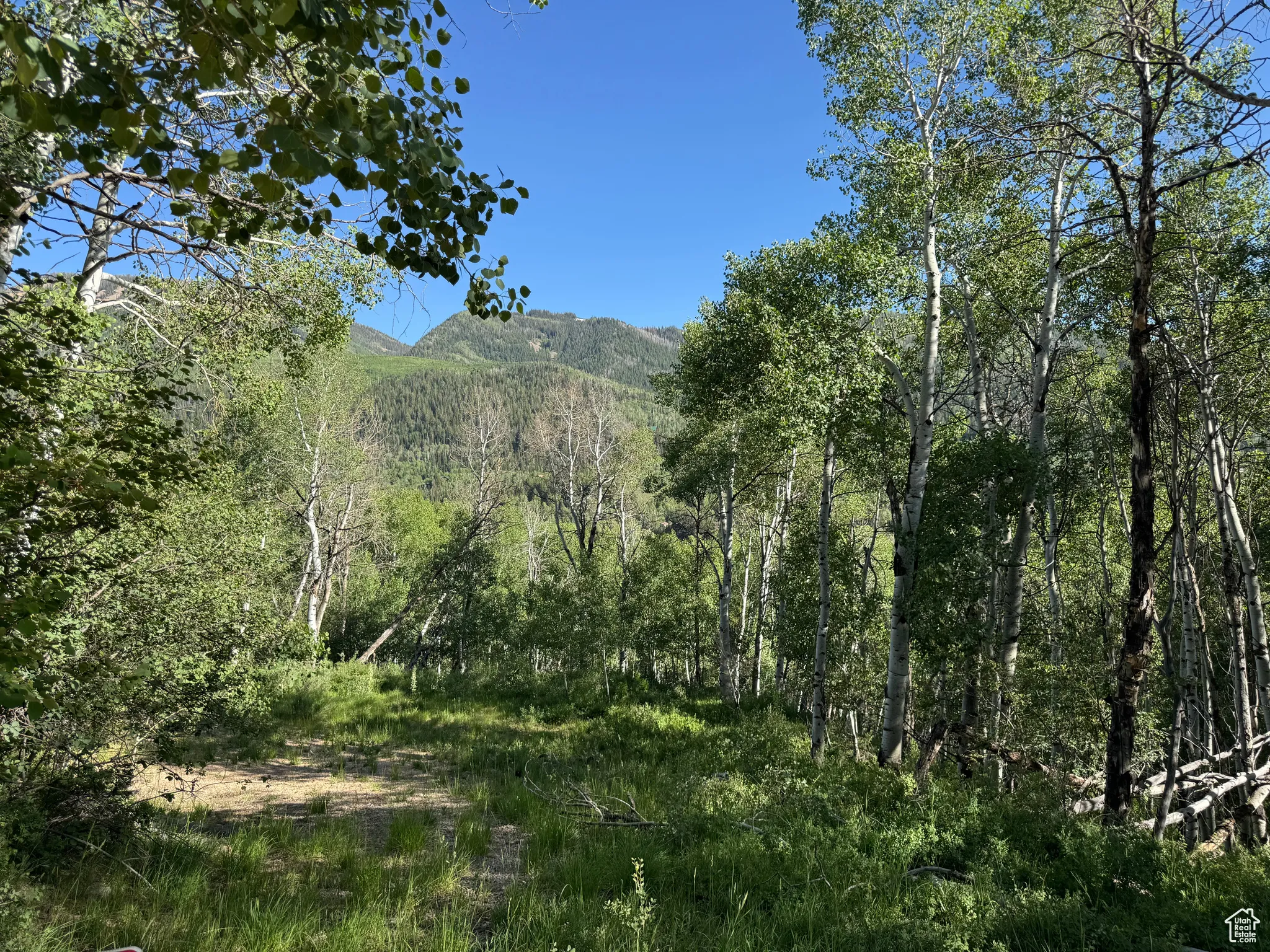 View of mountain background from the lot