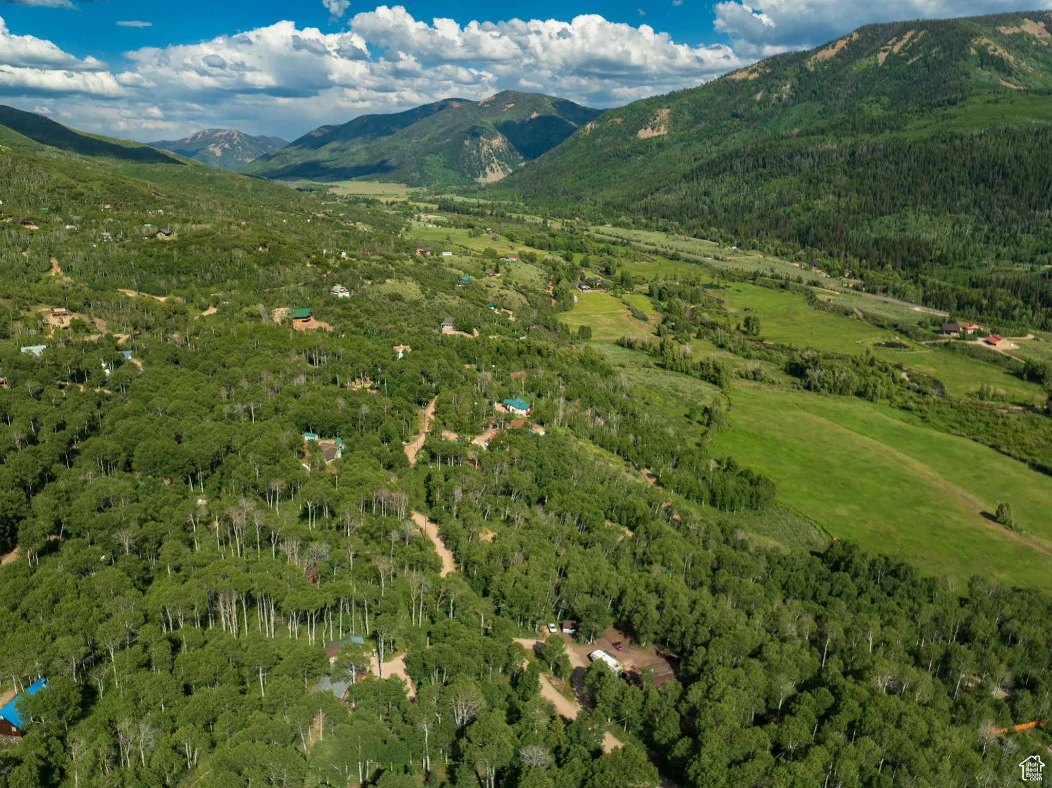 View of mountain background with a forest