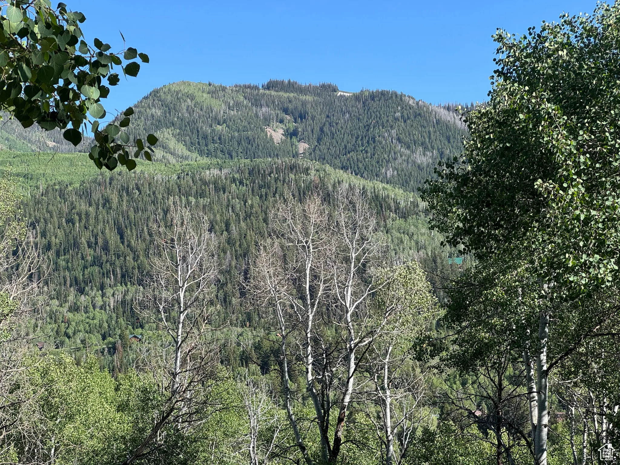 Mountain view from lot