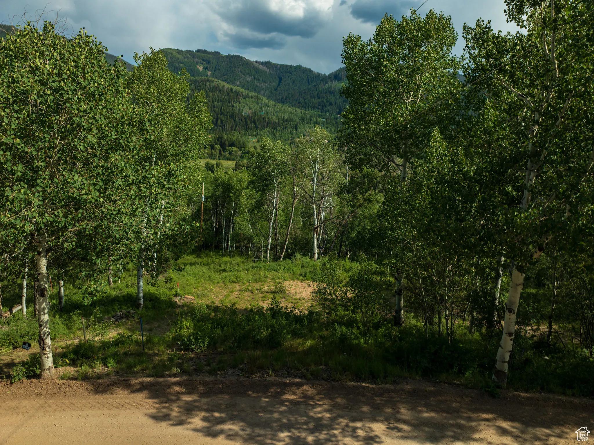 View of mountain backdrop with a heavily wooded area