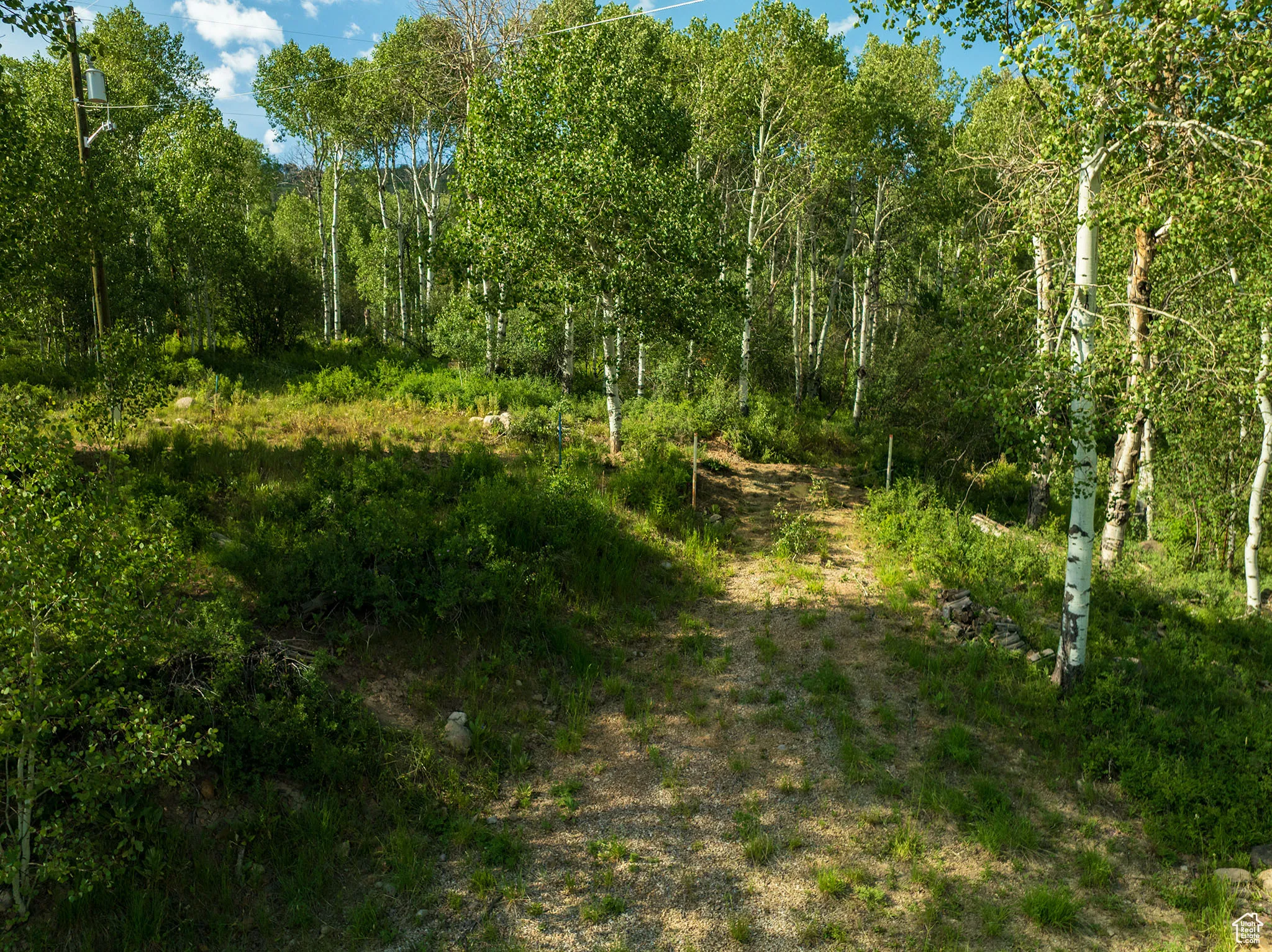 View of nature