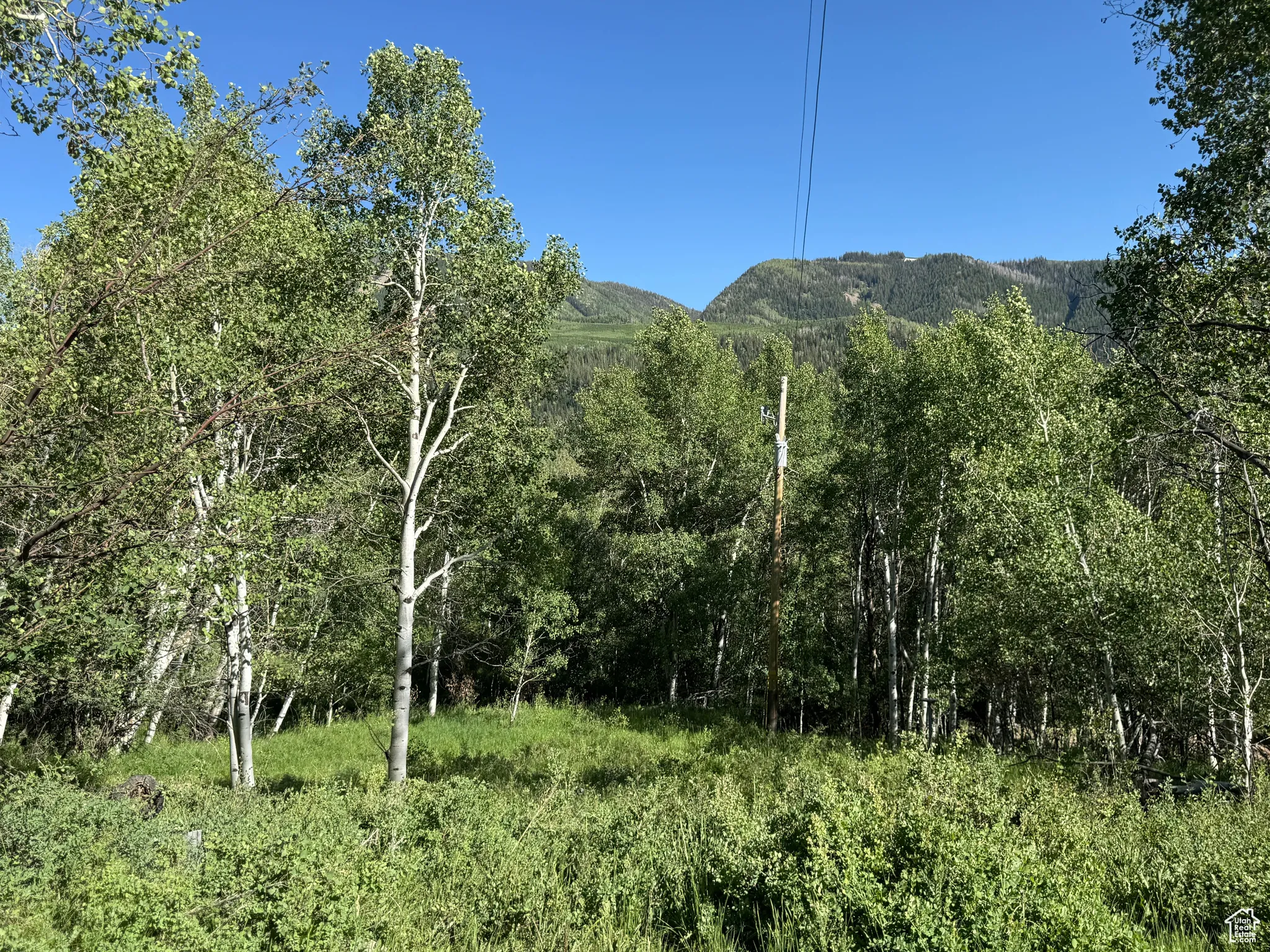 View from lot