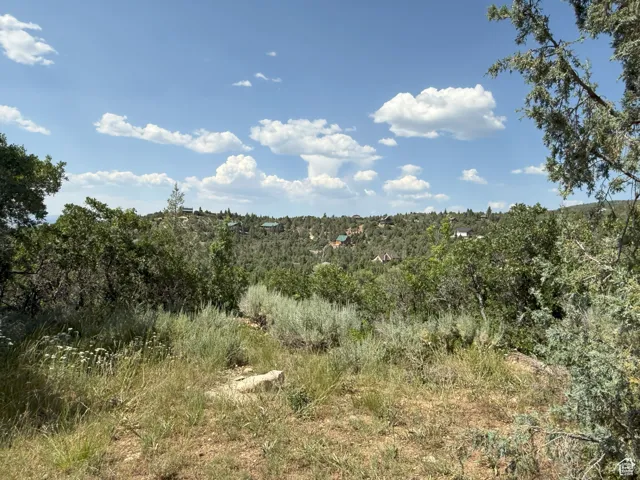 12695 E 14800 #59, Mt Pleasant, Utah 84647