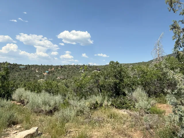 12695 E 14800 #59, Mt Pleasant, Utah 84647