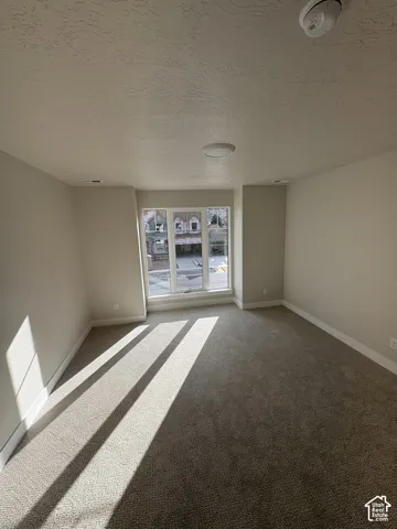Recessed window with multiple panes, neutral-toned carpeting, ceiling-mounted light fixture, and textured ceiling finish