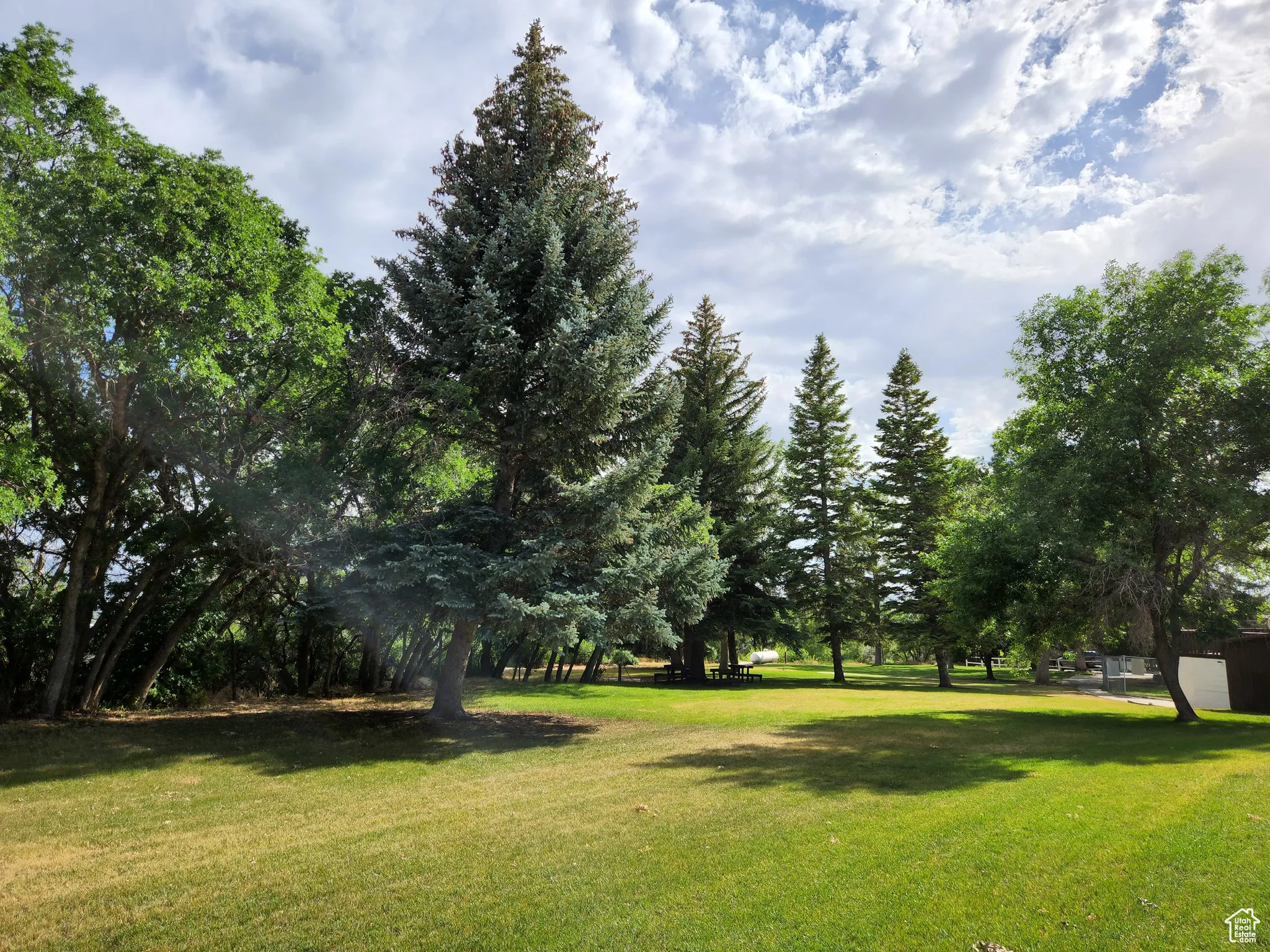 View of grassy yard
