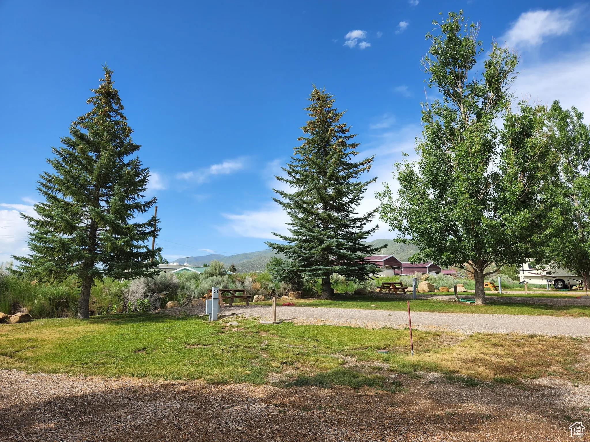 View of grassy yard