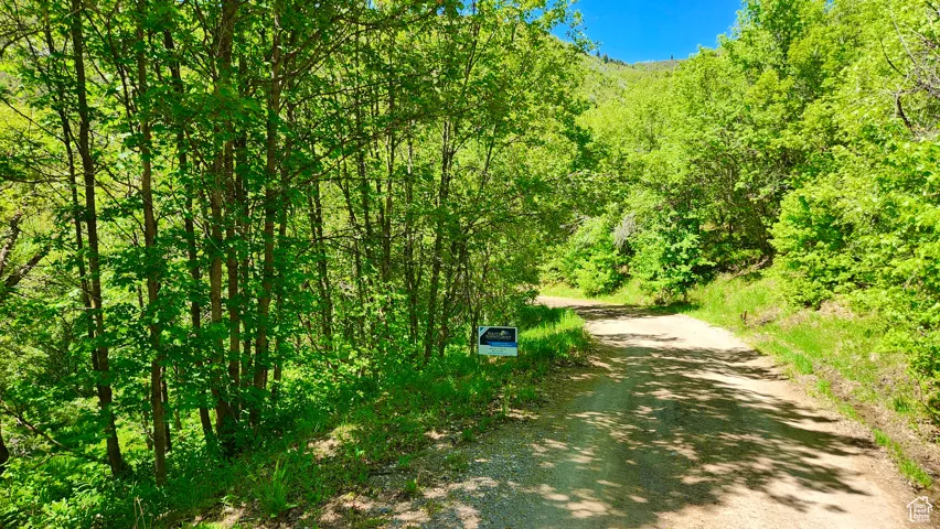 View of street with a view of trees