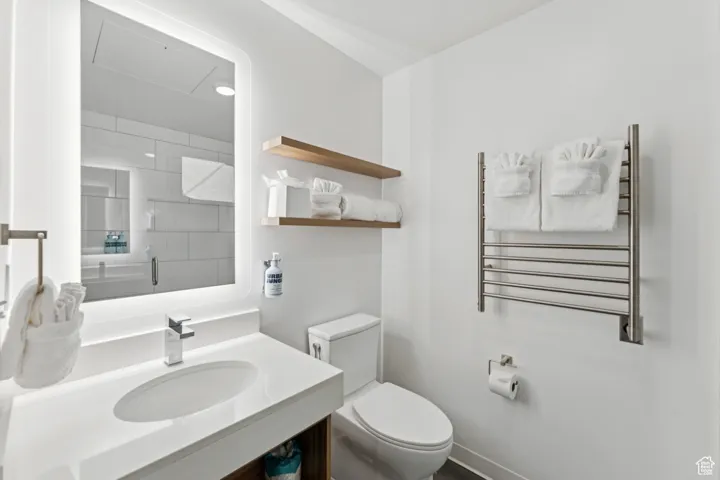Full bathroom featuring radiator, a towel warming rack, vanity, and a shower