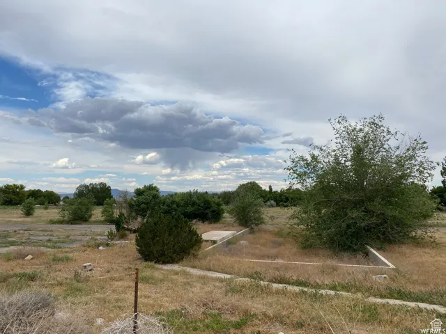 View of yard featuring a view of rural / pastoral area