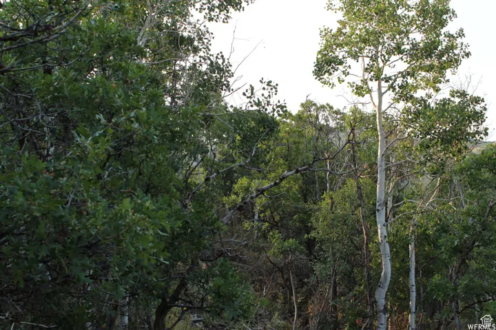 View of nature