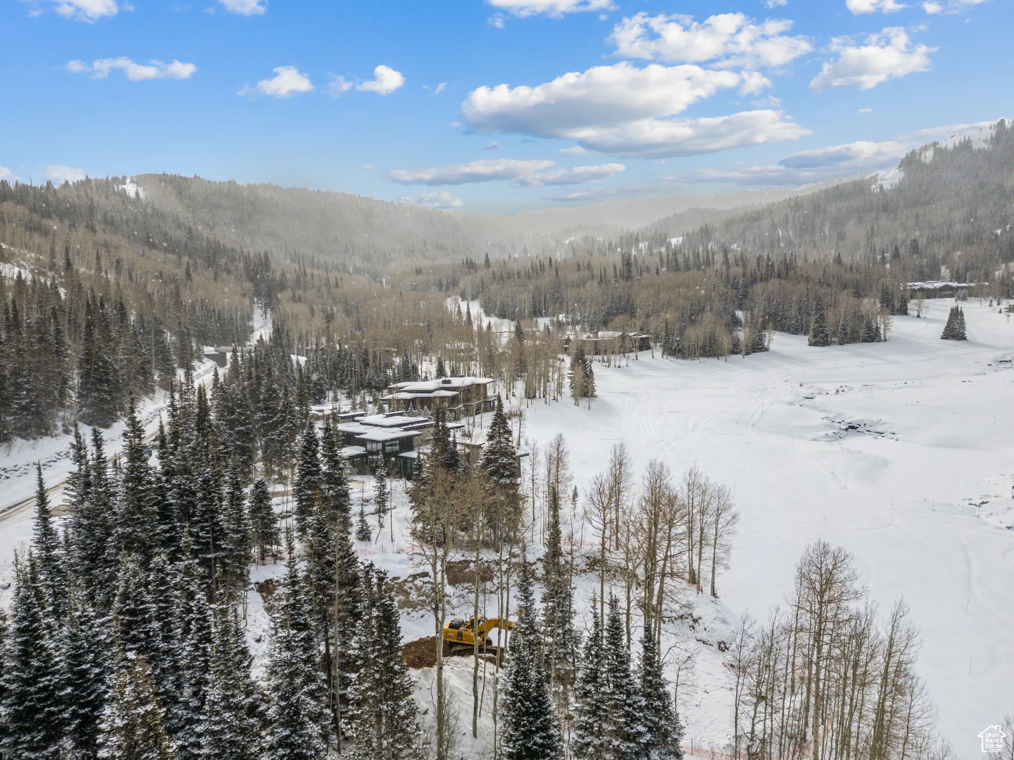 View of mountain backdrop featuring a heavily wooded area