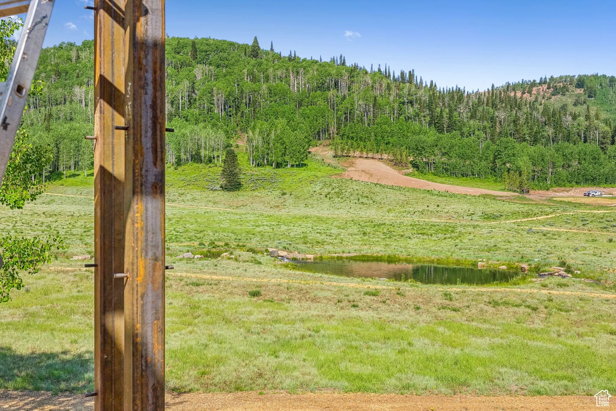View of yard featuring a wooded view and a view of countryside