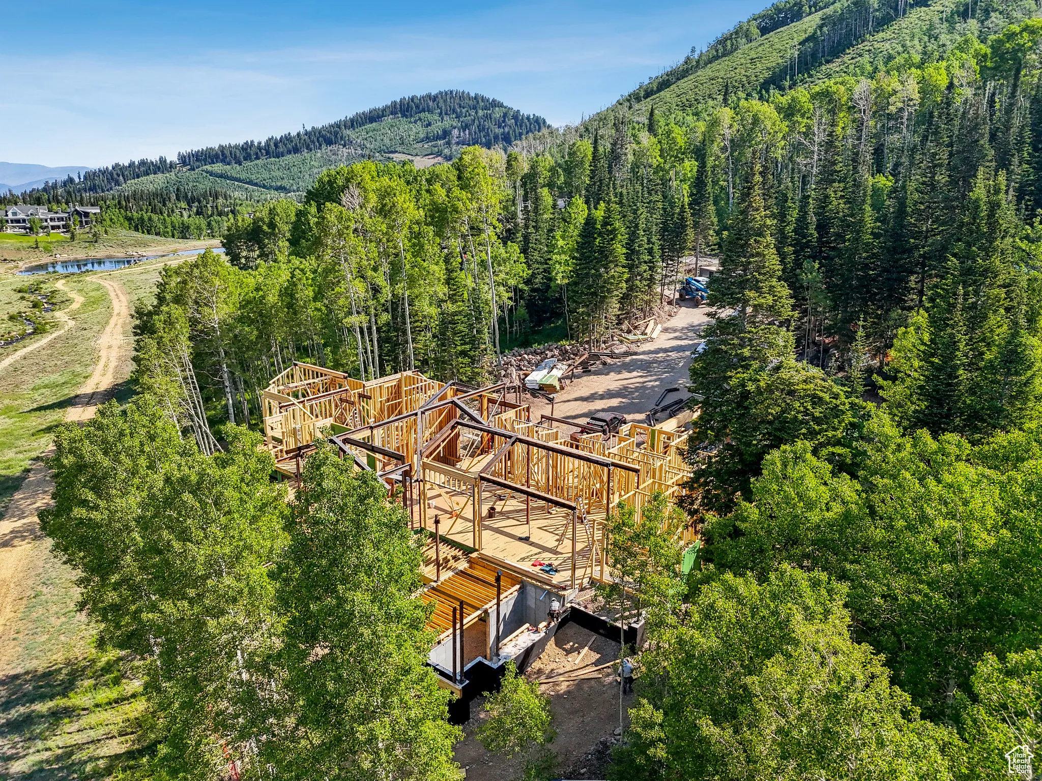 Drone / aerial view of a forest and a water and mountain view