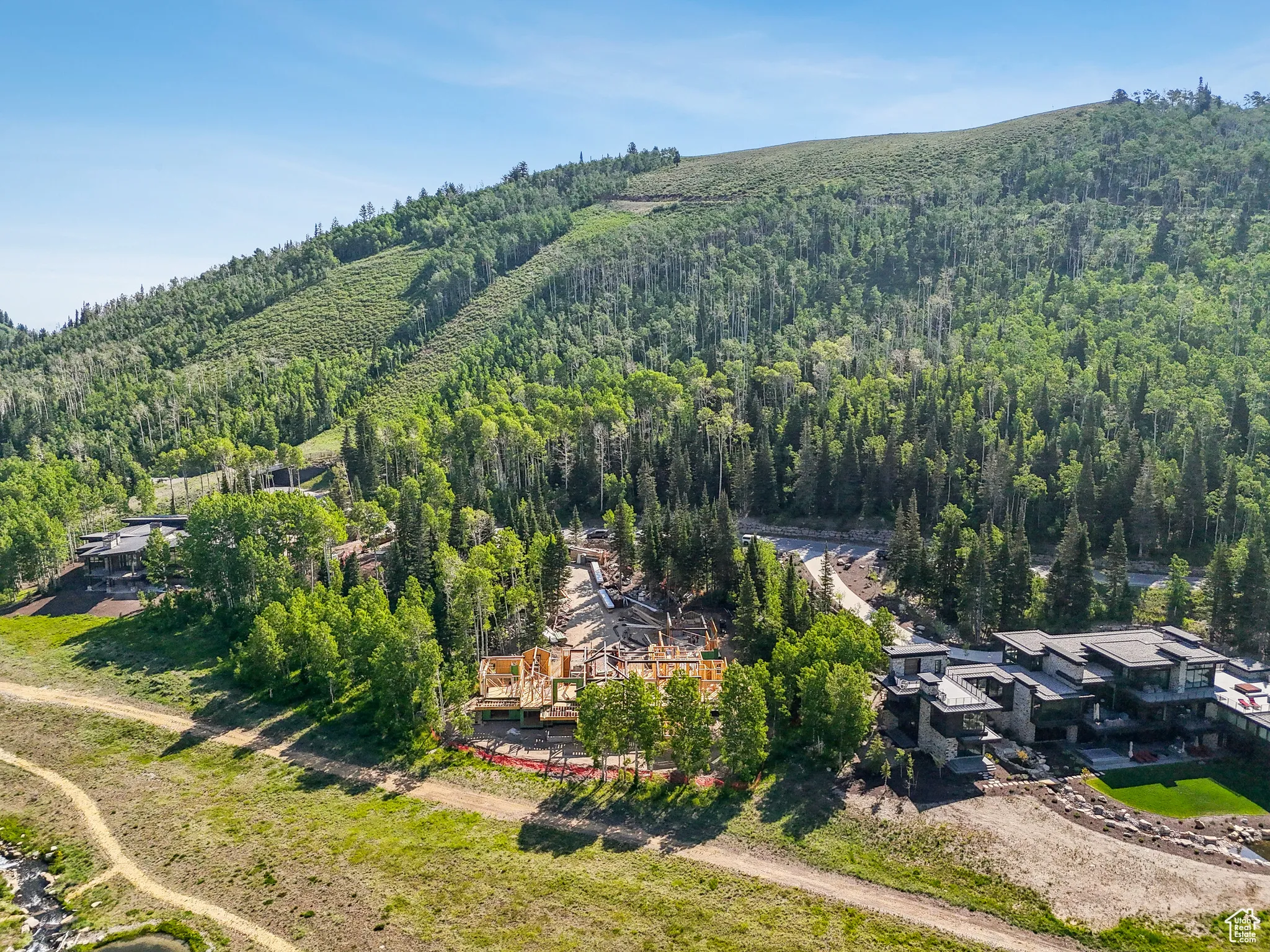 Drone / aerial view of a heavily wooded area