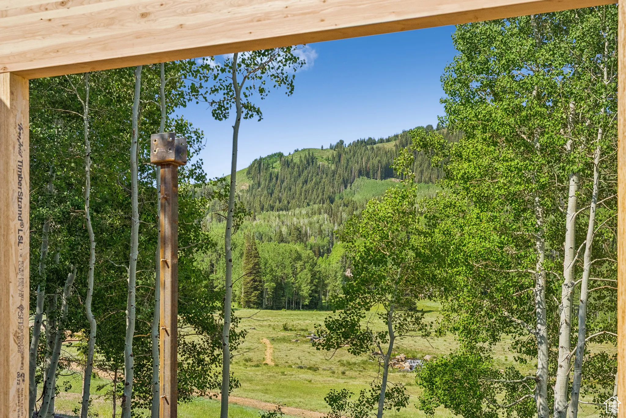 Mountain view with a forest