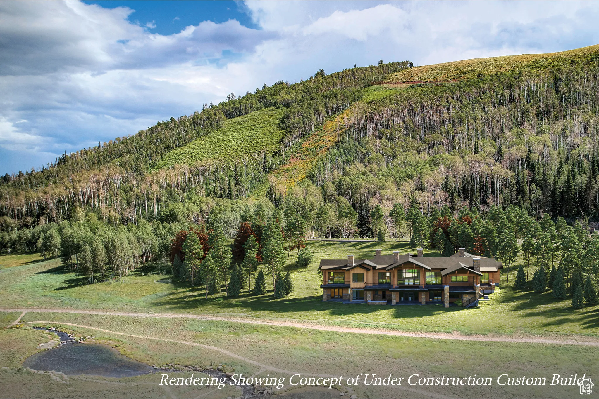 View of mountain backdrop with a forest