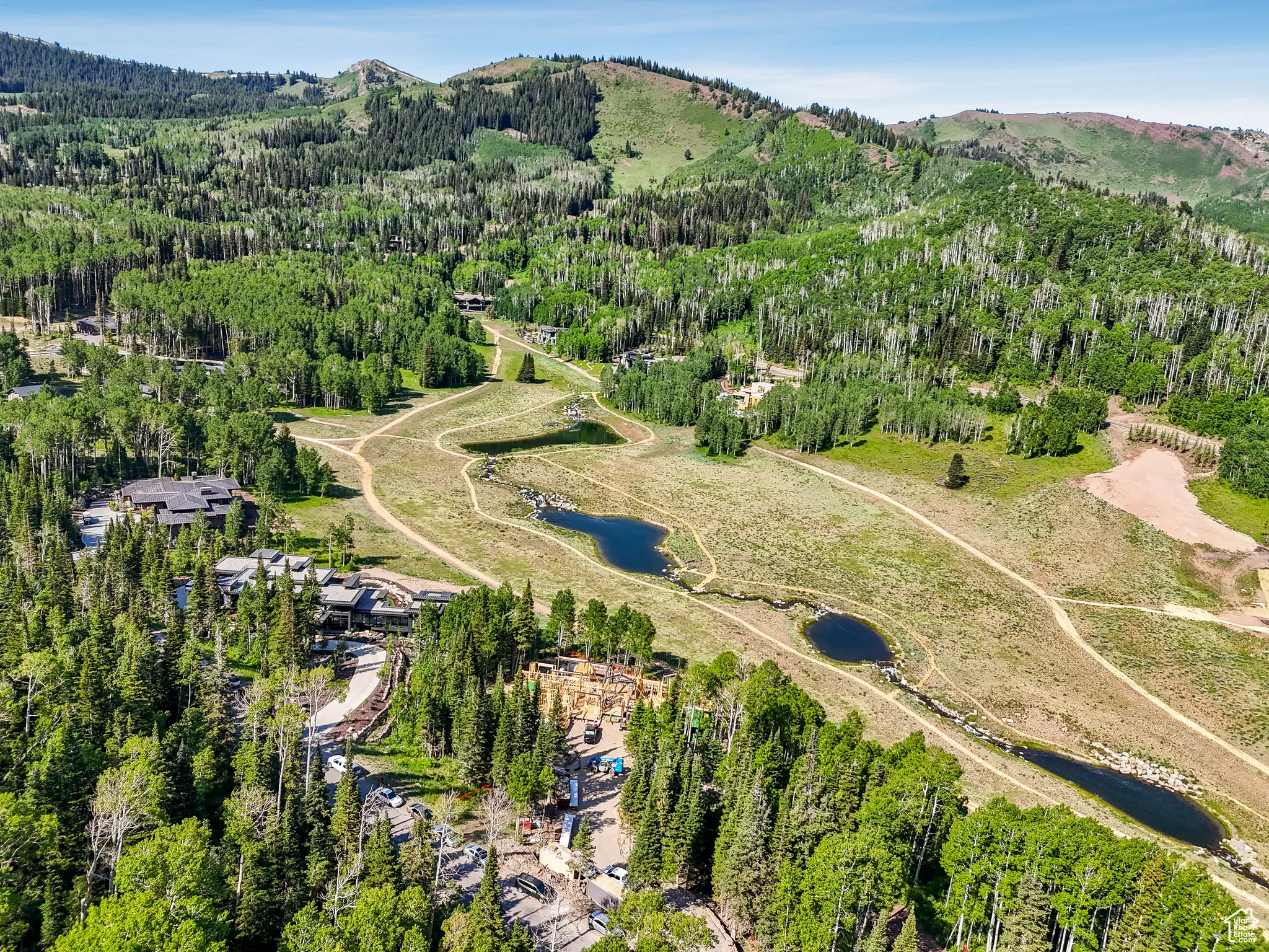 Aerial view of property and surrounding area featuring a heavily wooded area and a mountain backdrop