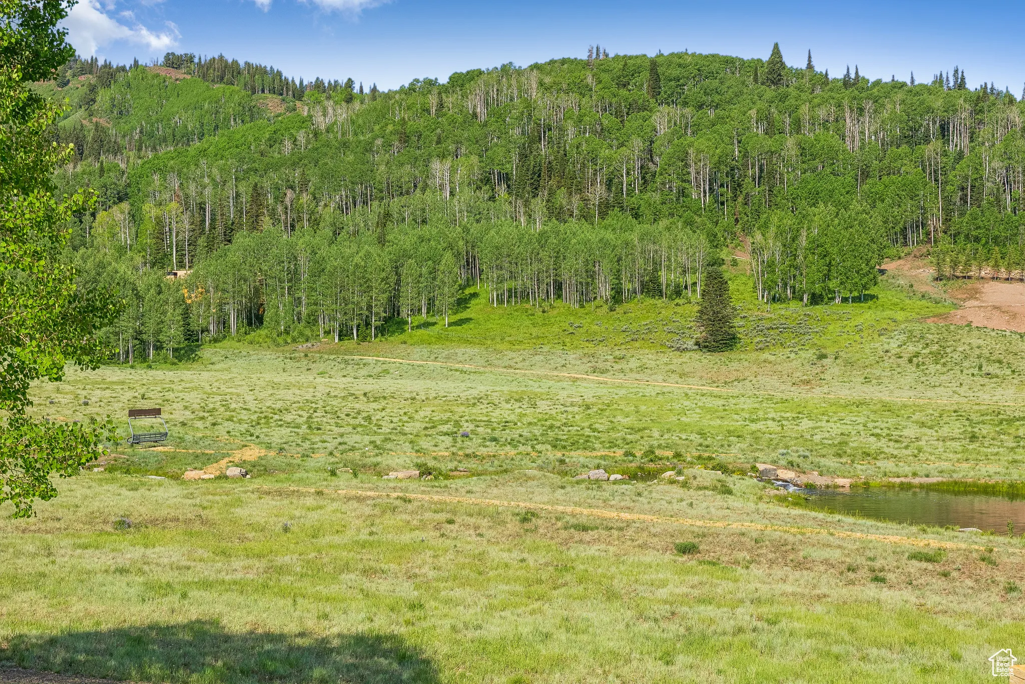 View of yard with a view of trees