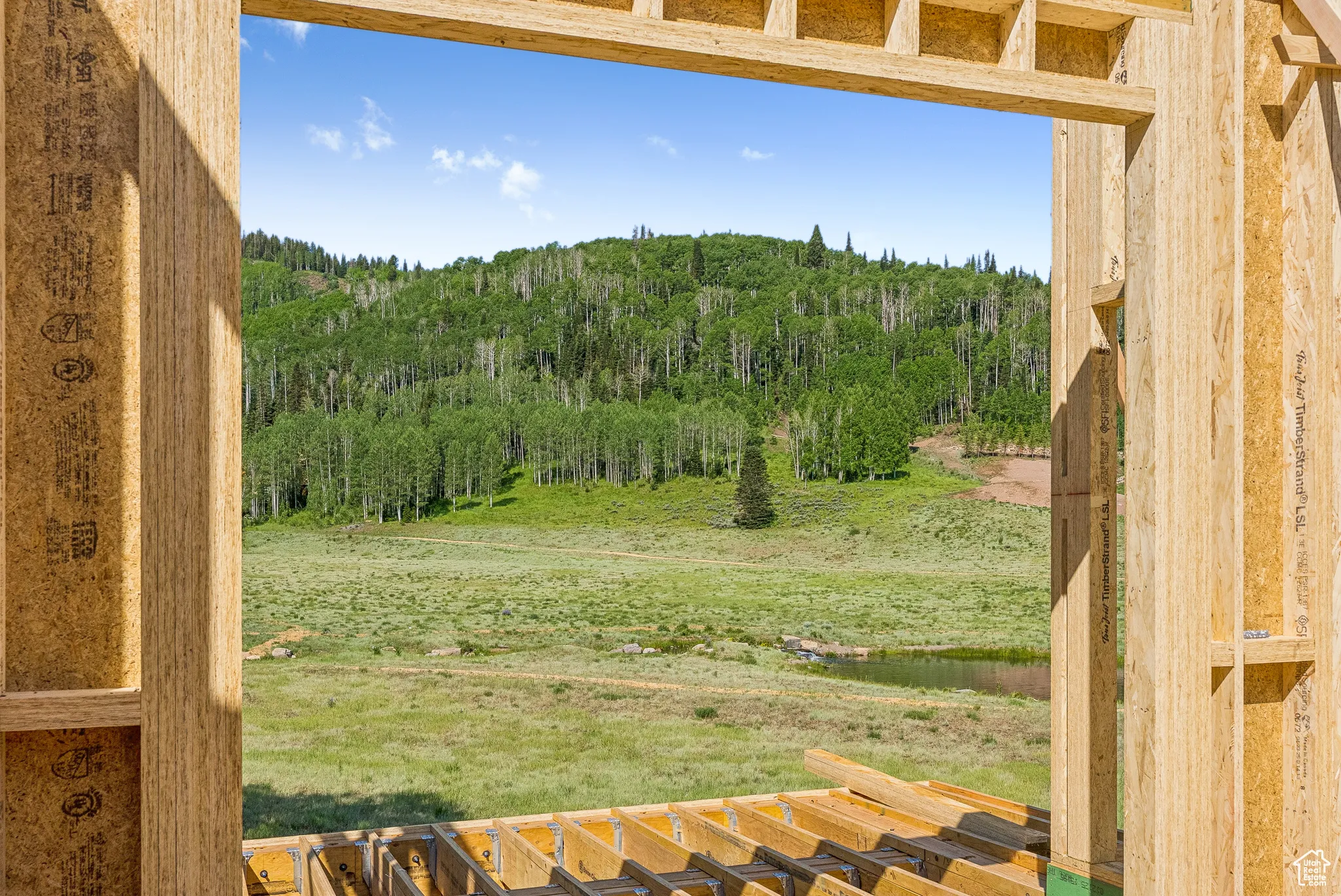 View of yard with a wooded view