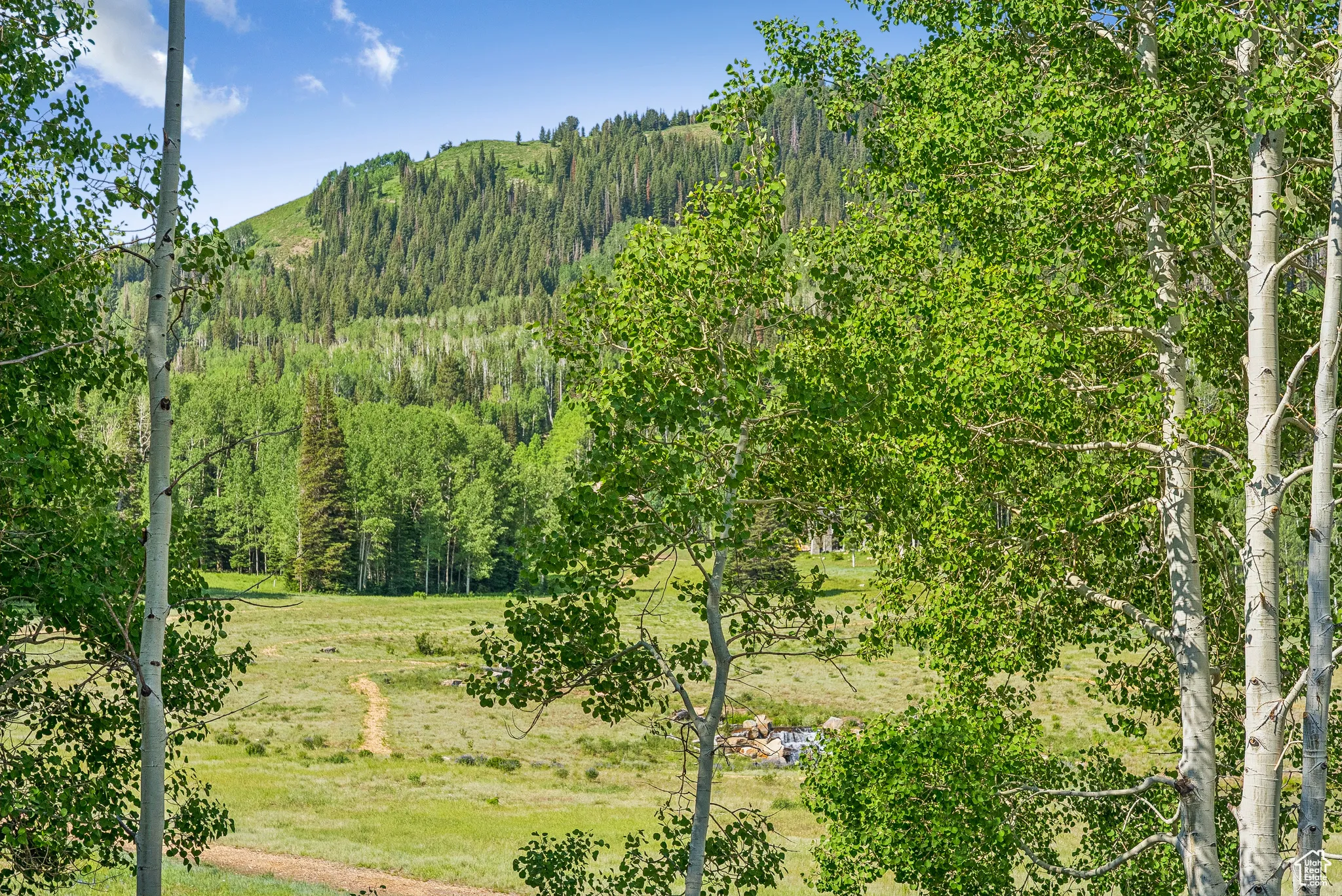View of mountain backdrop with a forest