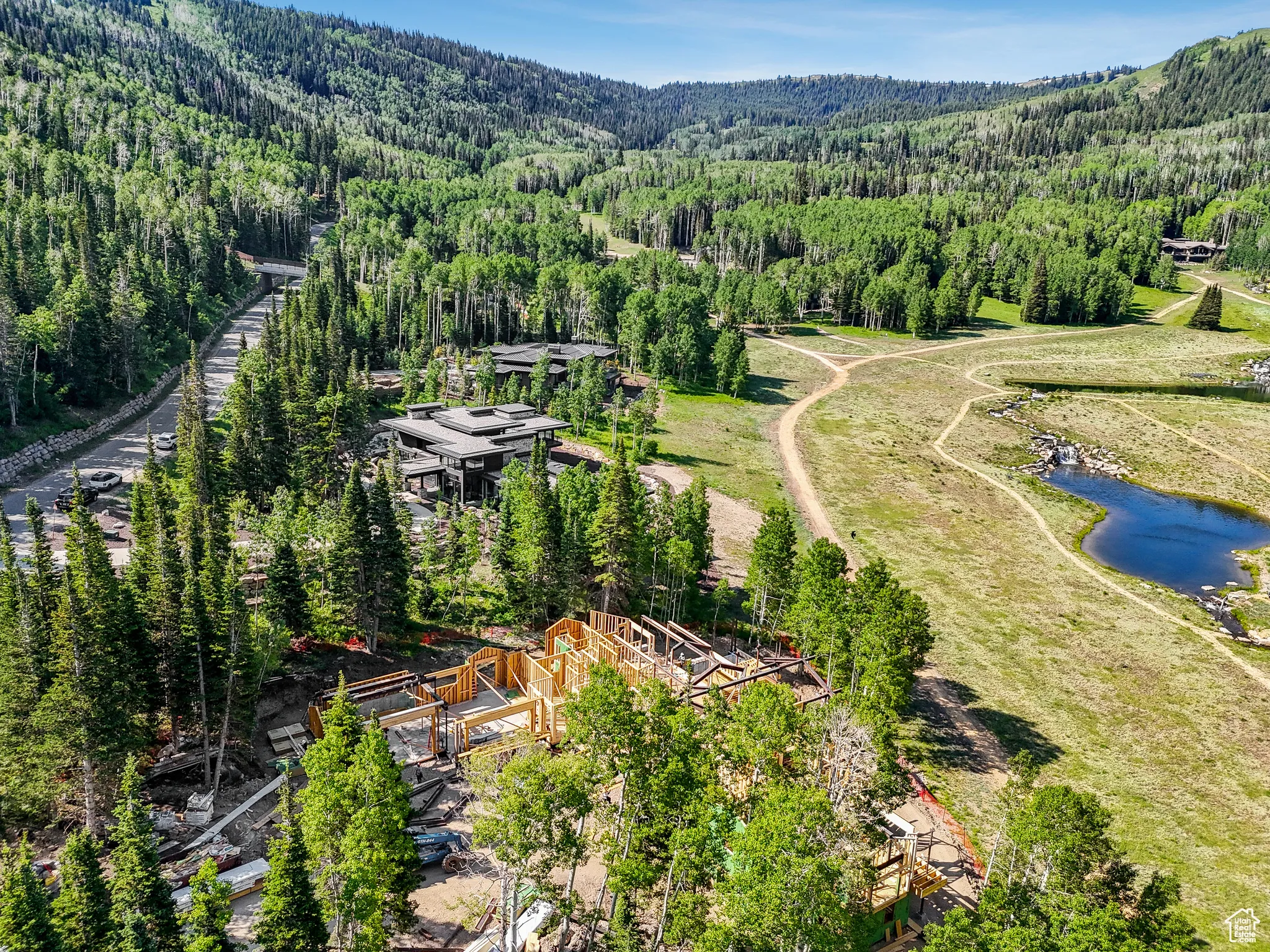 Bird's eye view of a forest and a nearby body of water