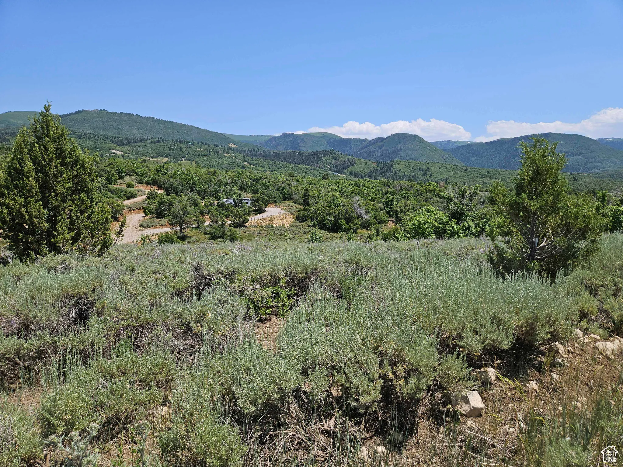 View of mountain background