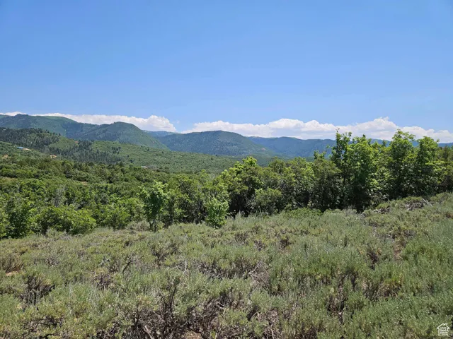 View of mountain background featuring a heavily wooded area