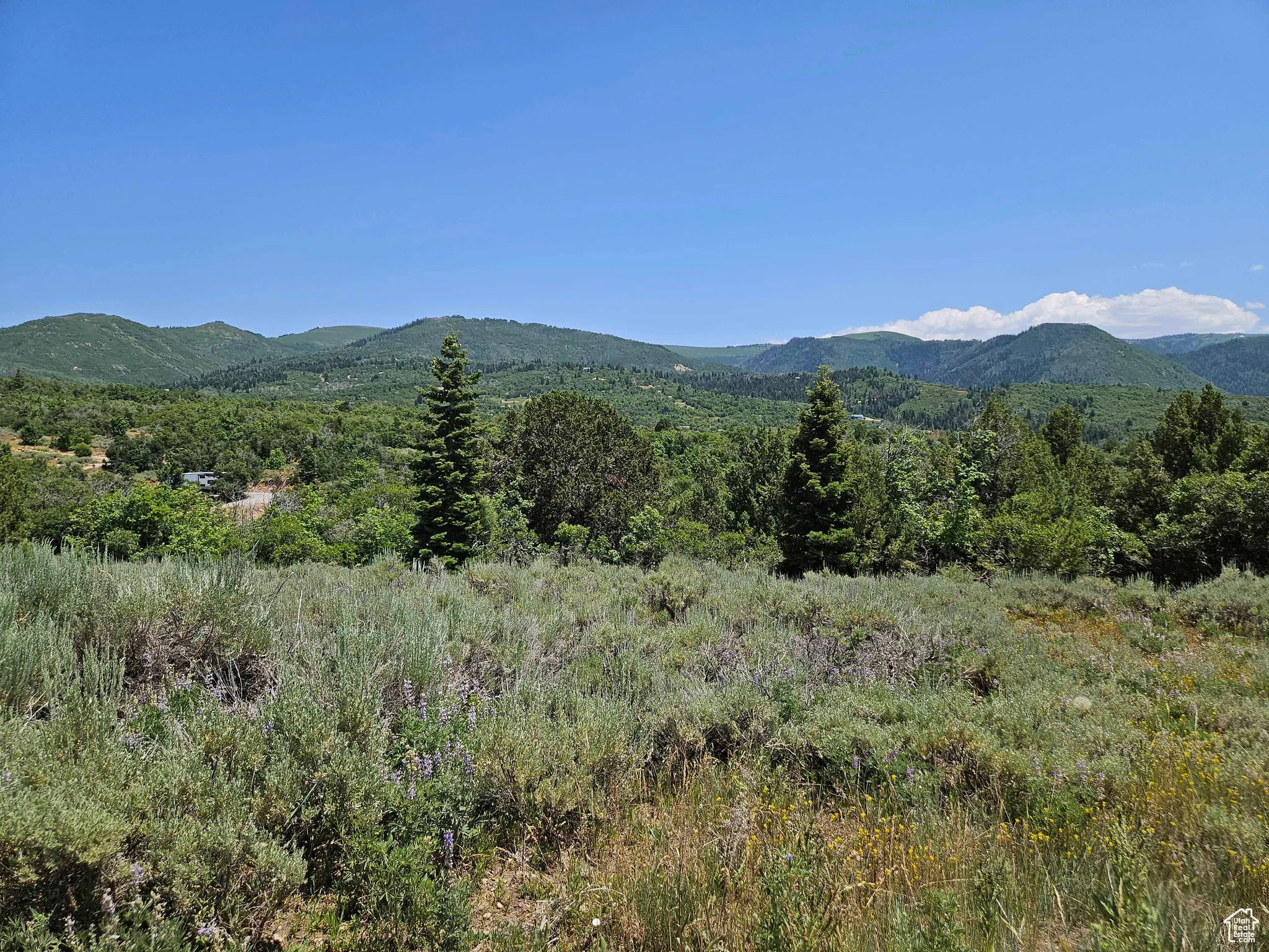 View of mountain backdrop