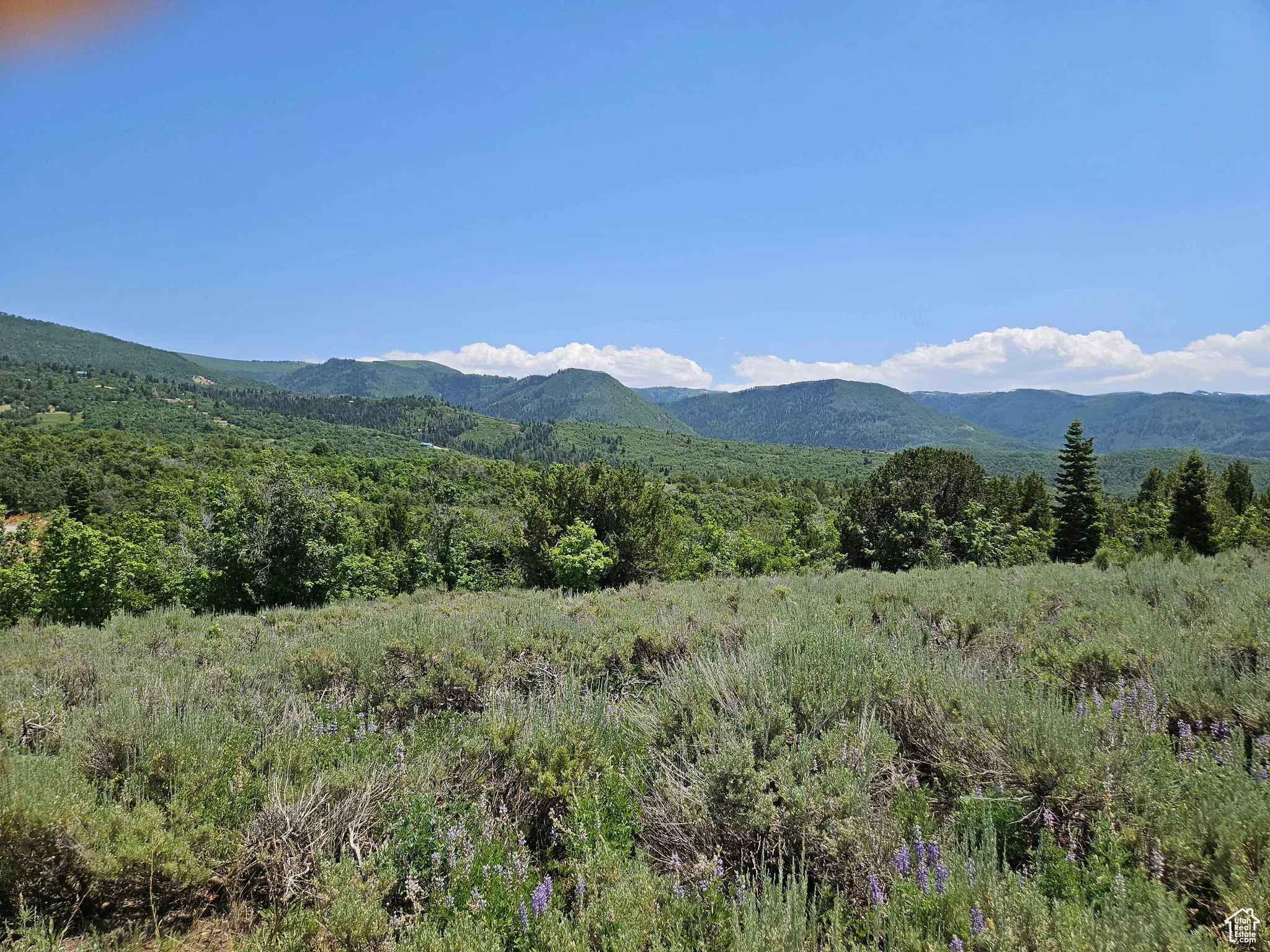 View of mountain backdrop