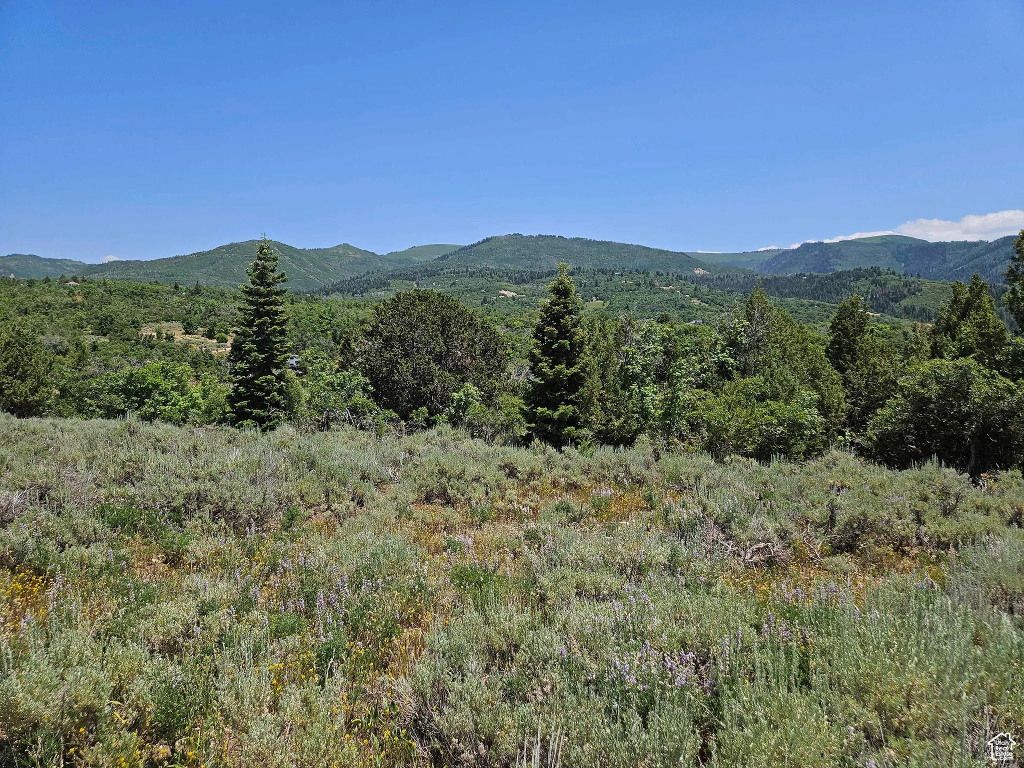 Mountain view