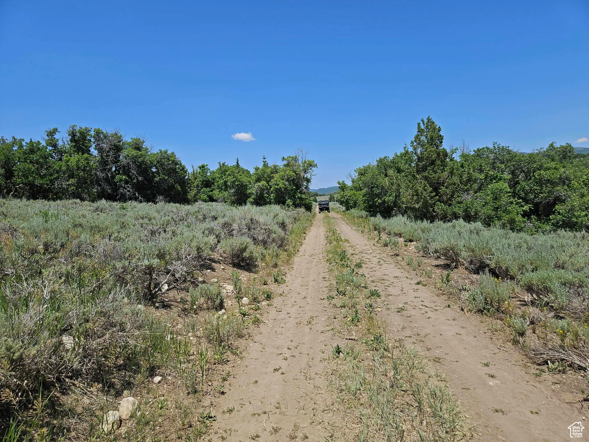 View of dirt / gravel driveway