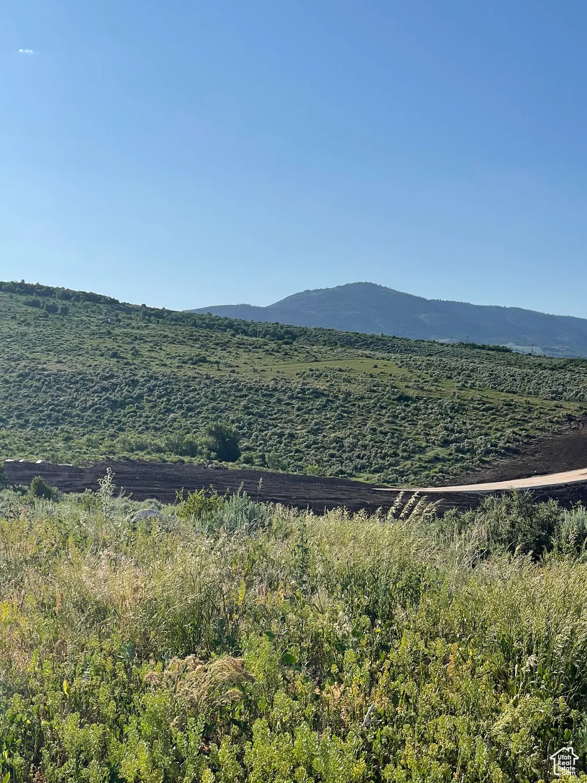 View of mountain background looking to the west.  Extension of Paradise Parkway.