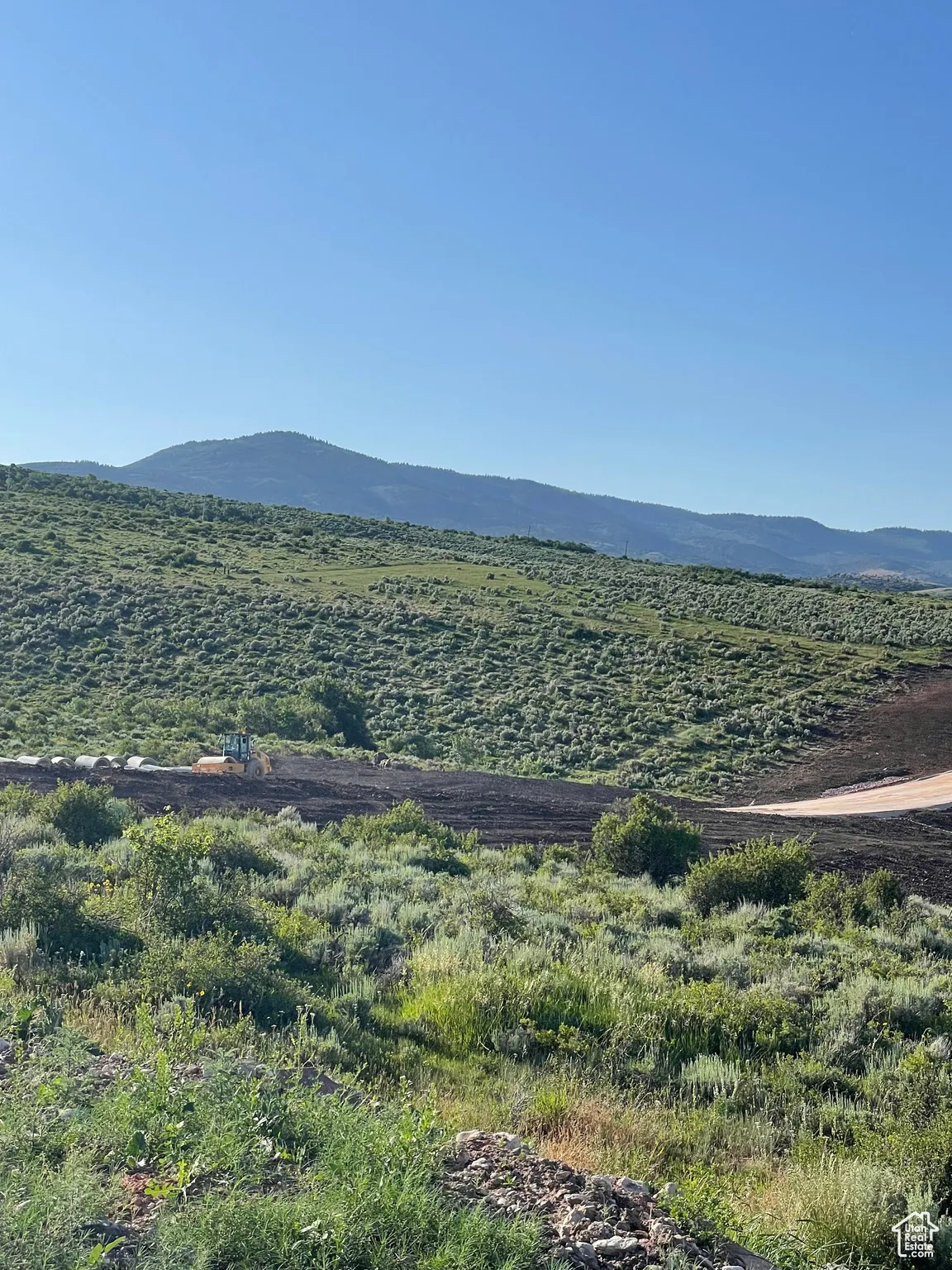 View of mountain backdrop and future road of Paradise Parkway,  Northwest view.
