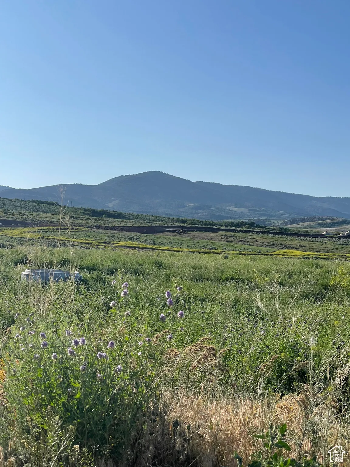 Mountain view featuring rural landscape