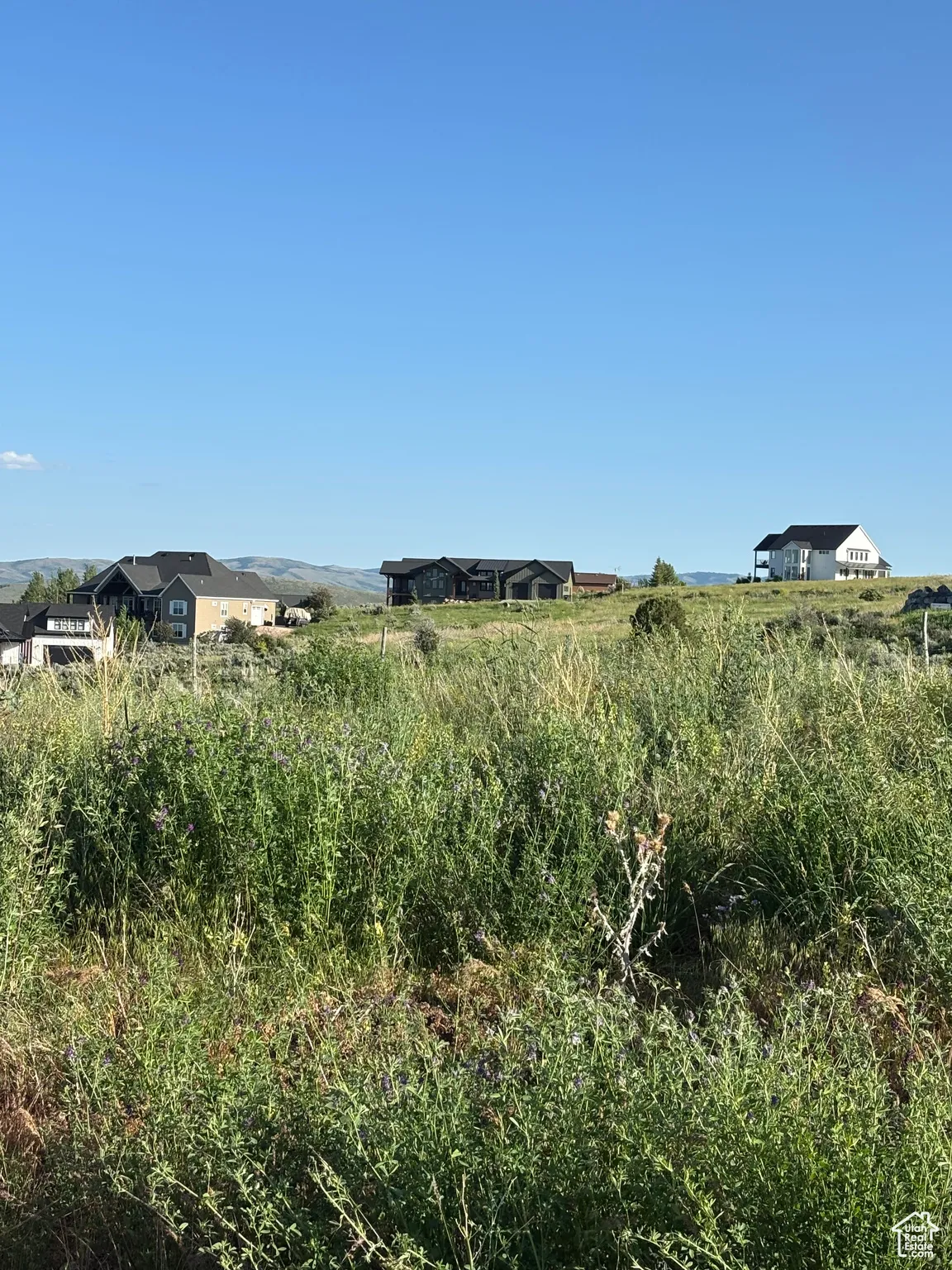 View looking south from the lot