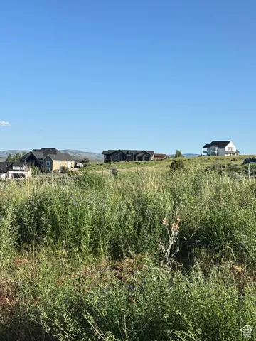 View looking south from the lot