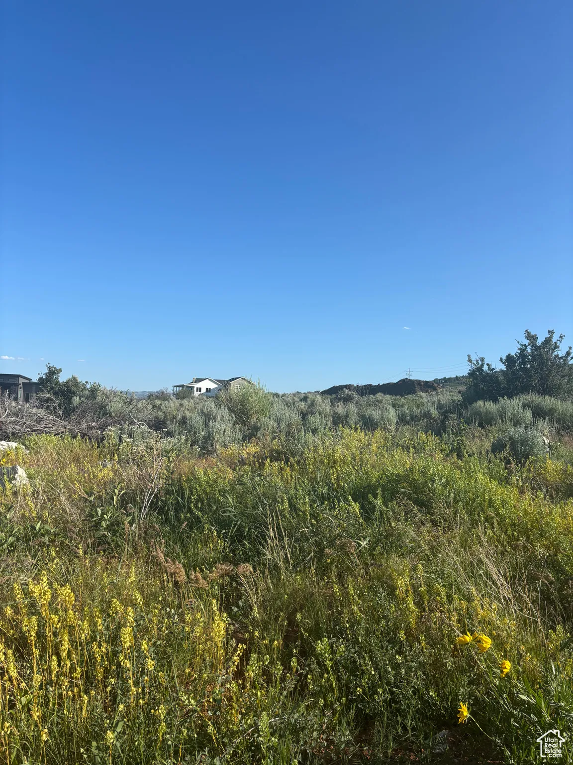 View of undeveloped land