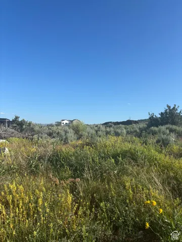 View of undeveloped land
