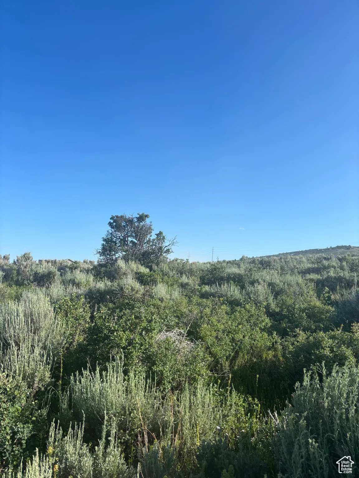 View of undeveloped land