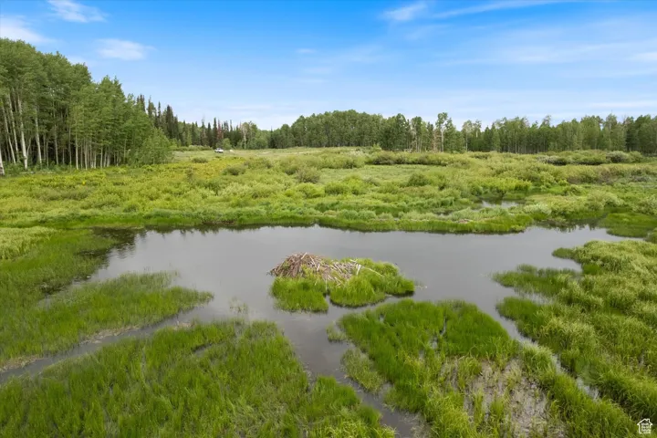 Close Up of Meadow with Water View Visible From Lot