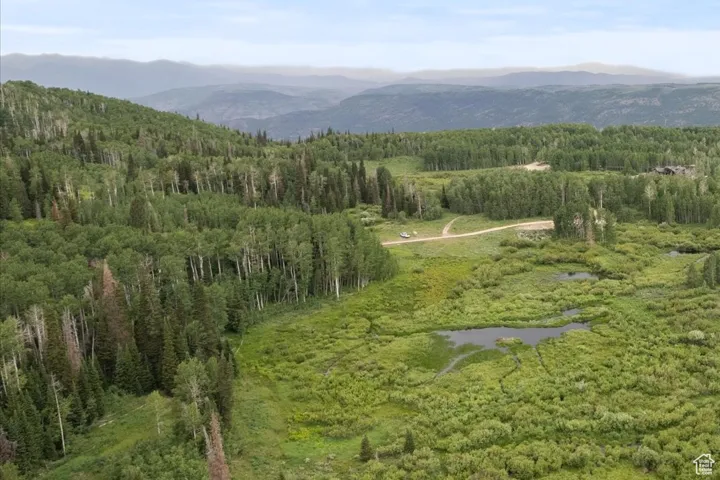 View of Mountain Backdrop with Wooded Area