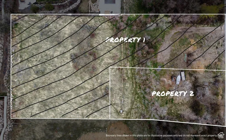 Aerial map of property #2 offered for sale.