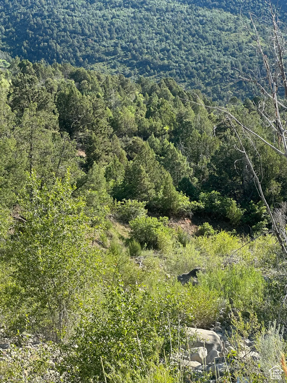 View of property location featuring a forest