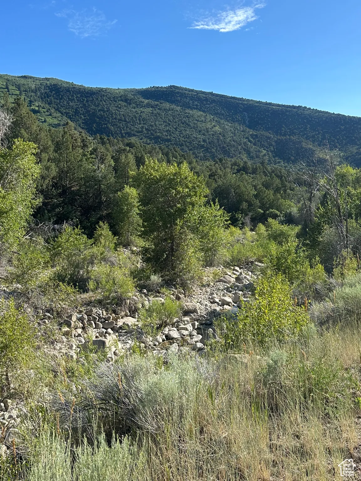View of mountain backdrop featuring a heavily wooded area